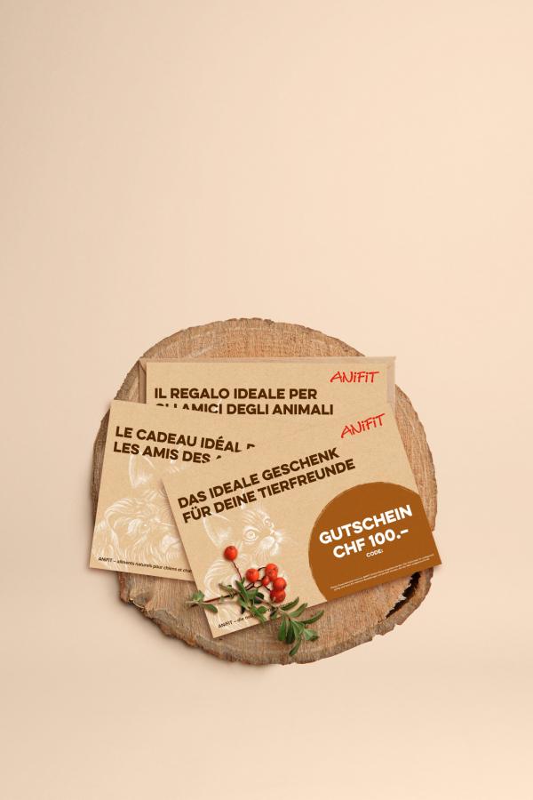Geschenkgutschein von ANiFiT